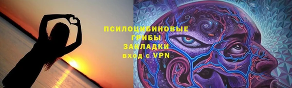 винт Алексин